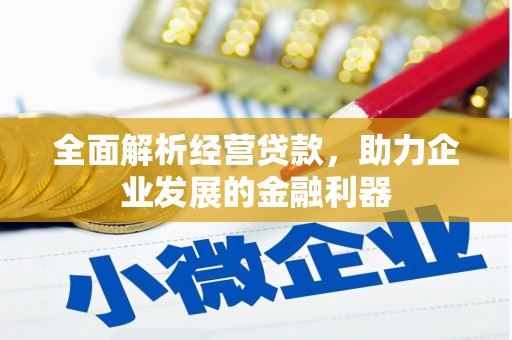 永城全面解析经营贷款，助力企业发展的金融利器