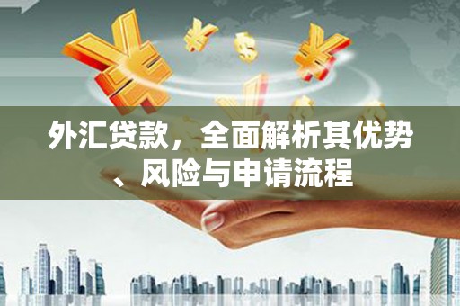永城外汇贷款，全面解析其优势、风险与申请流程