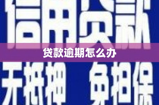 永城贷款逾期怎么办