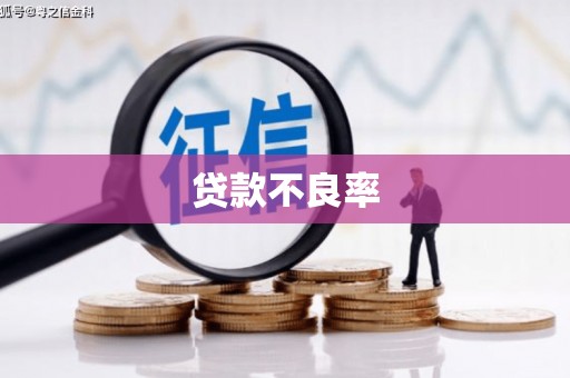 永城贷款不良率