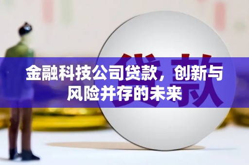 永城金融科技公司贷款，创新与风险并存的未来