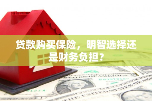 永城贷款购买保险，明智选择还是财务负担？