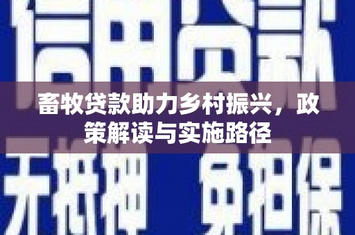 永城畜牧贷款助力乡村振兴，政策解读与实施路径