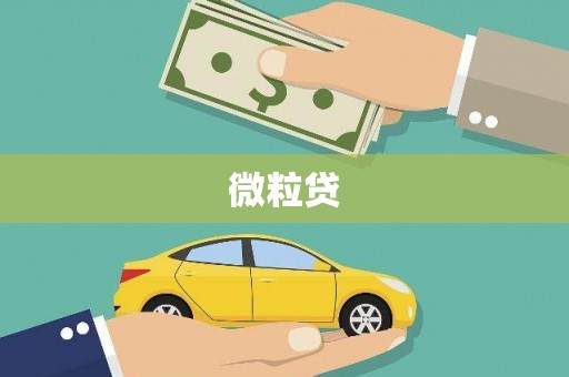 永城微粒贷
