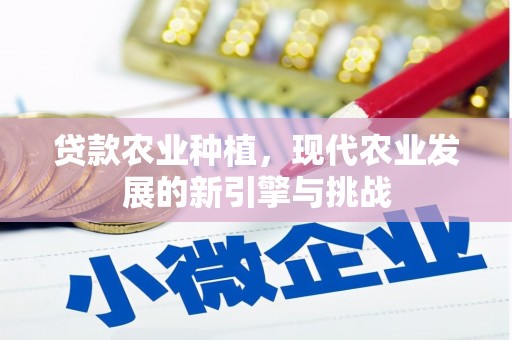 永城贷款农业种植，现代农业发展的新引擎与挑战