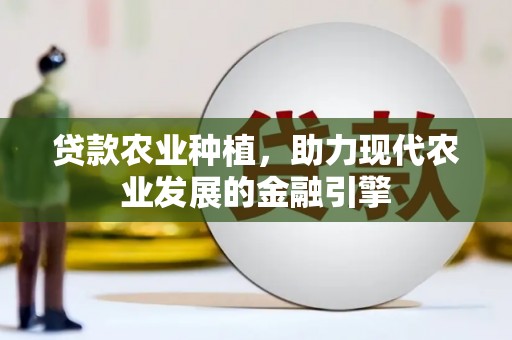 永城贷款农业种植，助力现代农业发展的金融引擎