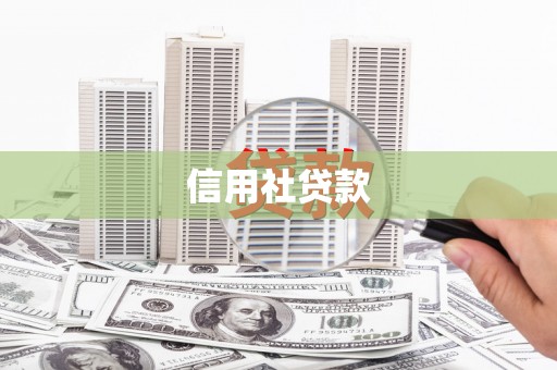 永城信用社贷款