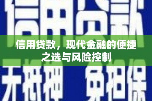 永城信用贷款，现代金融的便捷之选与风险控制