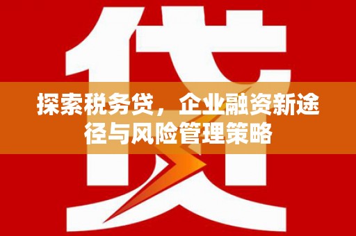 永城探索税务贷，企业融资新途径与风险管理策略