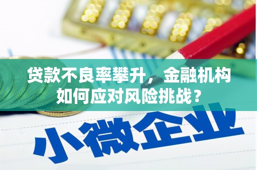 永城贷款不良率攀升，金融机构如何应对风险挑战？