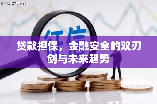 永城贷款担保，金融安全的双刃剑与未来趋势