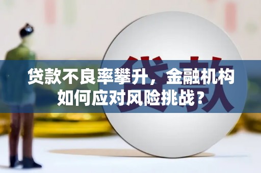 永城贷款不良率攀升，金融机构如何应对风险挑战？
