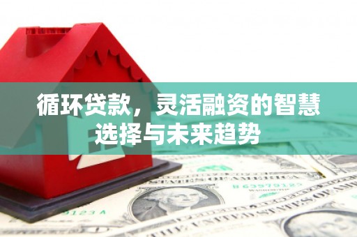 永城循环贷款，灵活融资的智慧选择与未来趋势