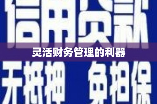 永城灵活财务管理的利器