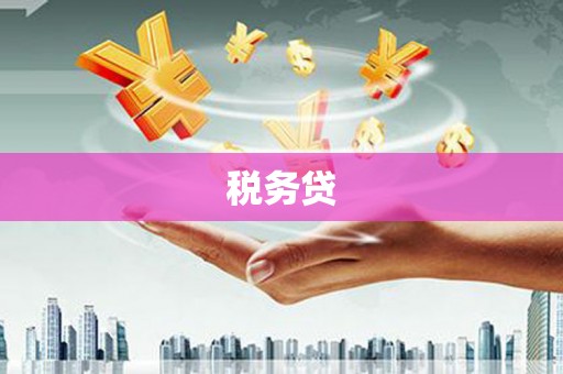 永城税务贷
