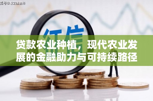 永城贷款农业种植，现代农业发展的金融助力与可持续路径