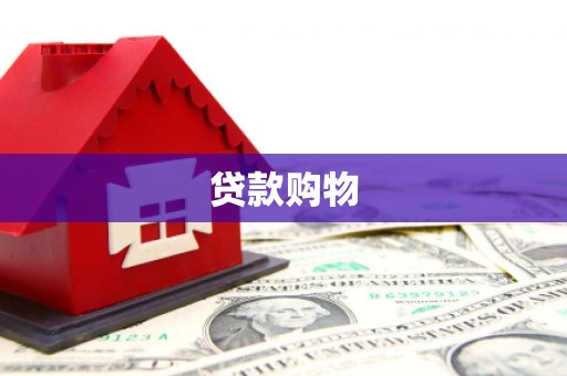 永城贷款购物