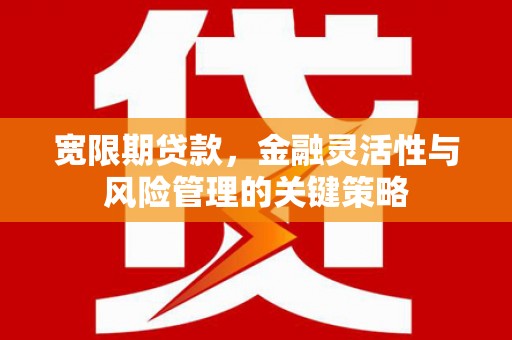永城宽限期贷款，金融灵活性与风险管理的关键策略