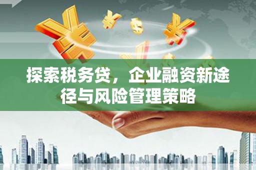 永城探索税务贷，企业融资新途径与风险管理策略