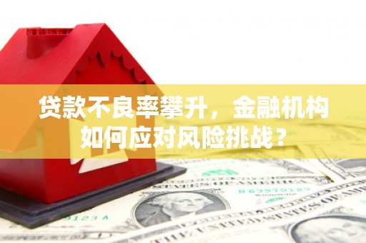 永城贷款不良率攀升，金融机构如何应对风险挑战？