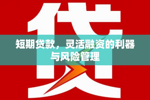 永城短期贷款，灵活融资的利器与风险管理
