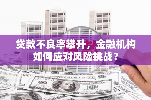 永城贷款不良率攀升，金融机构如何应对风险挑战？