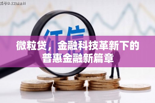 永城微粒贷，金融科技革新下的普惠金融新篇章