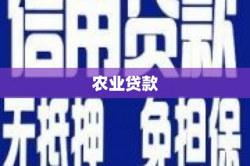 永城农业贷款