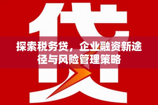 永城探索税务贷，企业融资新途径与风险管理策略