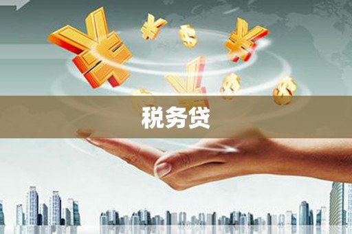 永城税务贷