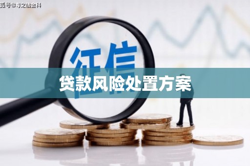 永城贷款风险处置方案