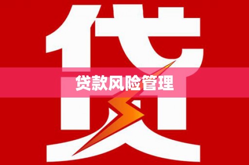 永城贷款风险管理