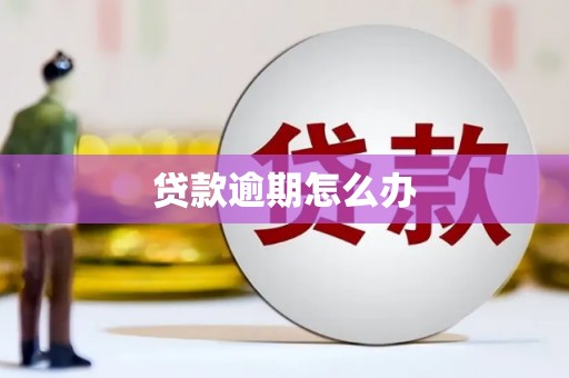 永城贷款逾期怎么办
