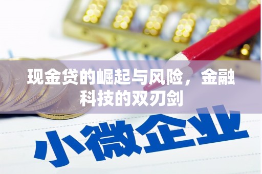 永城现金贷的崛起与风险，金融科技的双刃剑