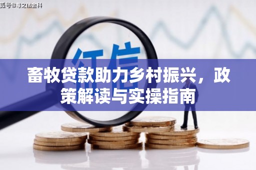 永城畜牧贷款助力乡村振兴，政策解读与实操指南