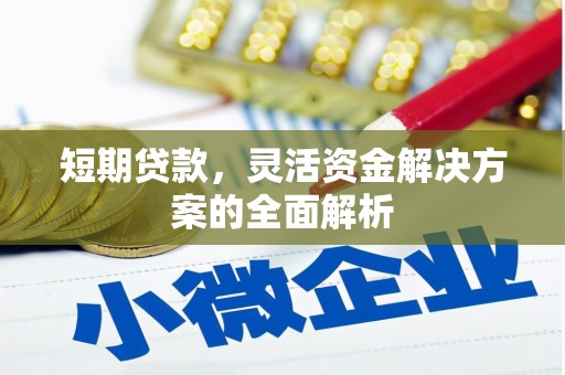 永城短期贷款，灵活资金解决方案的全面解析
