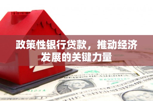 永城政策性银行贷款，推动经济发展的关键力量