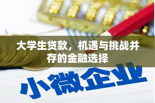 永城大学生贷款，机遇与挑战并存的金融选择