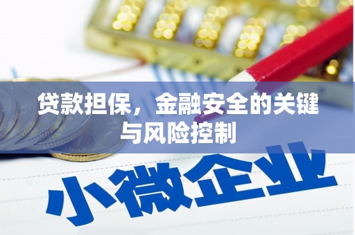 永城贷款担保，金融安全的关键与风险控制