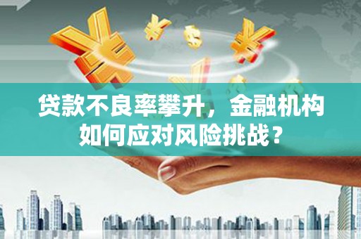 永城贷款不良率攀升，金融机构如何应对风险挑战？