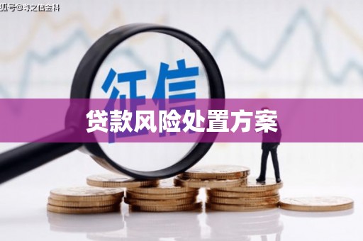 永城贷款风险处置方案
