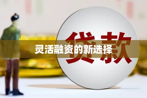 永城灵活融资的新选择